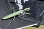 Sphodromantis viridis